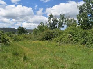 ΑΠΟΨΗ ΑΓΡΟΤΕΜΑΧΙΟΥ