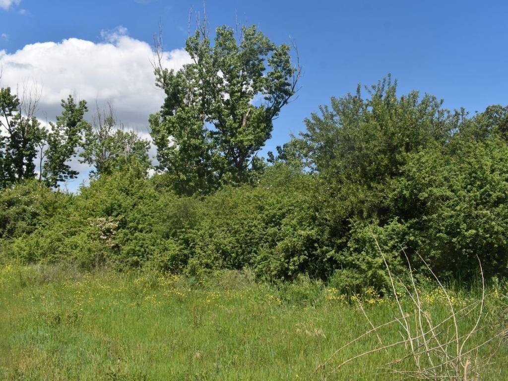 ΑΠΟΨΗ ΑΓΡΟΤΕΜΑΧΙΟΥ