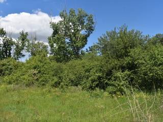 ΑΠΟΨΗ ΑΓΡΟΤΕΜΑΧΙΟΥ