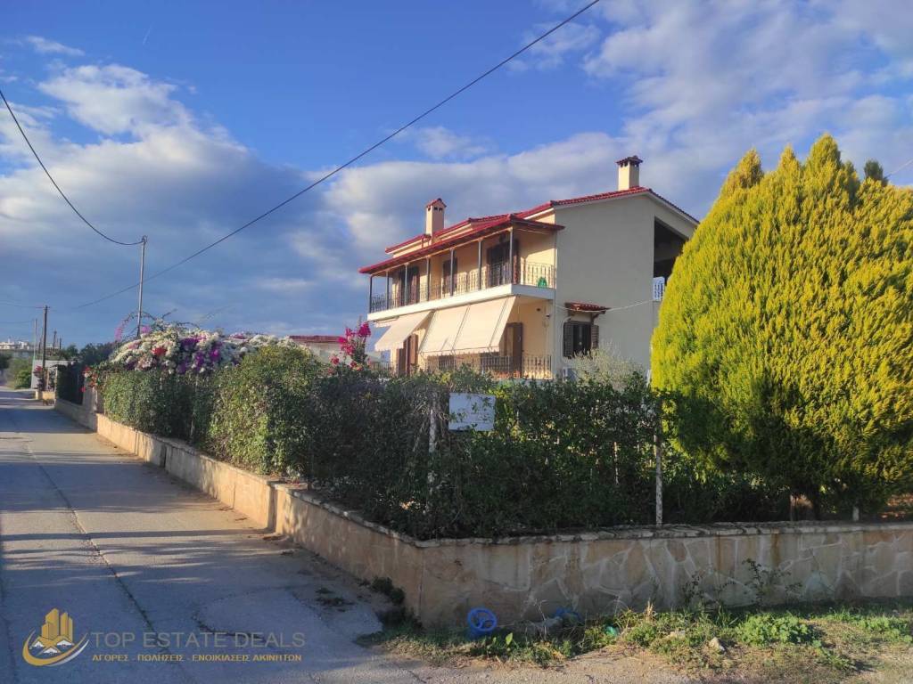 Ά ποψη οικοπέδου και θέση οικίας εντός αυτού