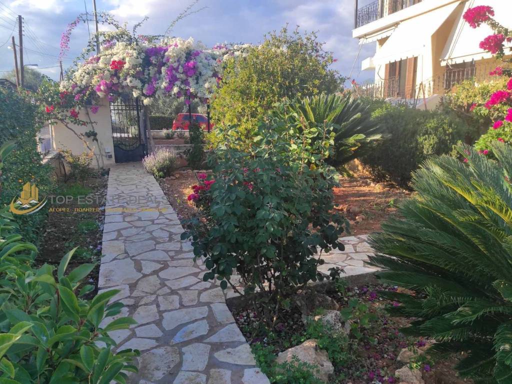 κήπος οικίας ,εξωτερικοί διάδρομοι