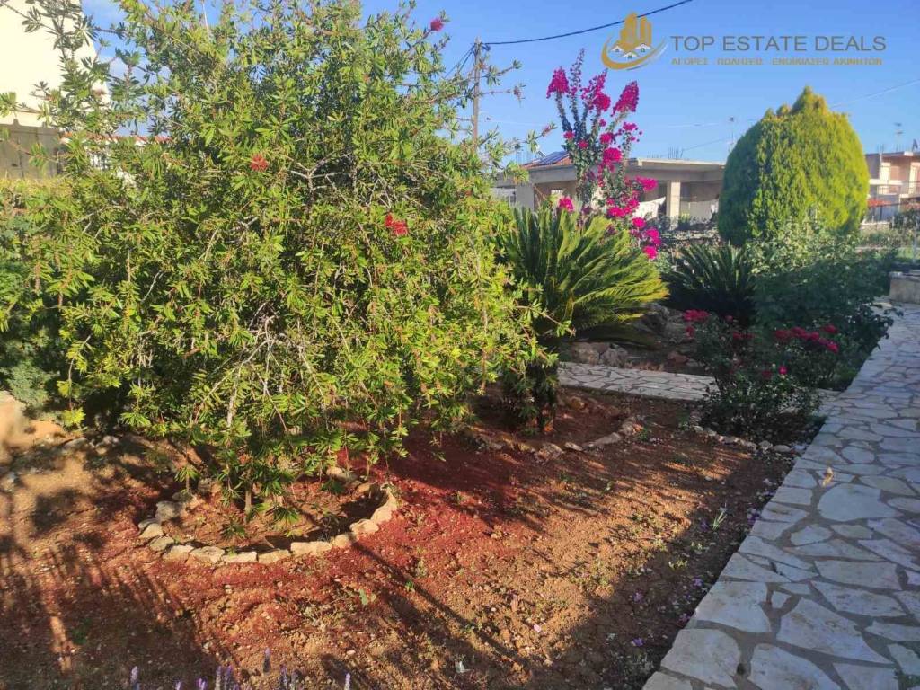 κήπος οικίας