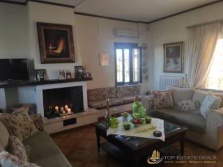 ισόγειο - σαλονι - τζάκι