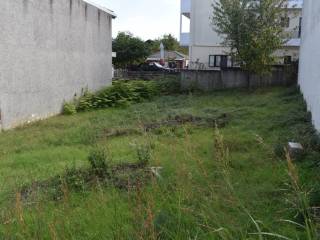 ΑΠΟΨΗ ΟΙΚΟΠΕΔΟΥ