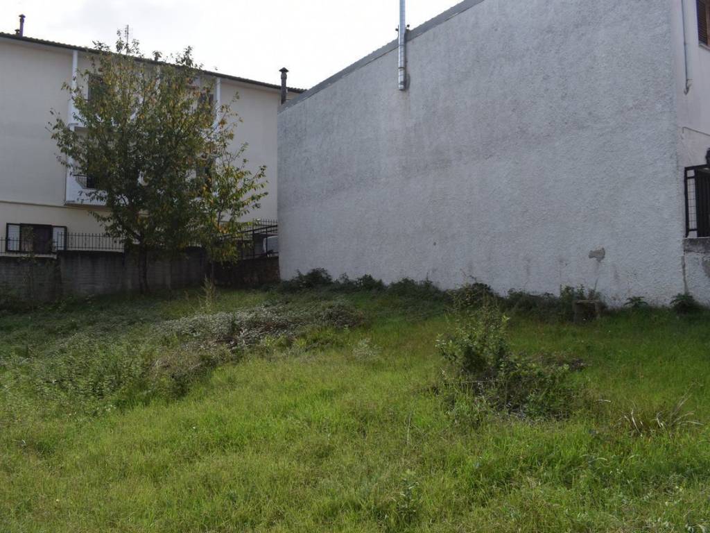 ΑΠΟΨΗ ΟΙΚΟΠΕΔΟΥ