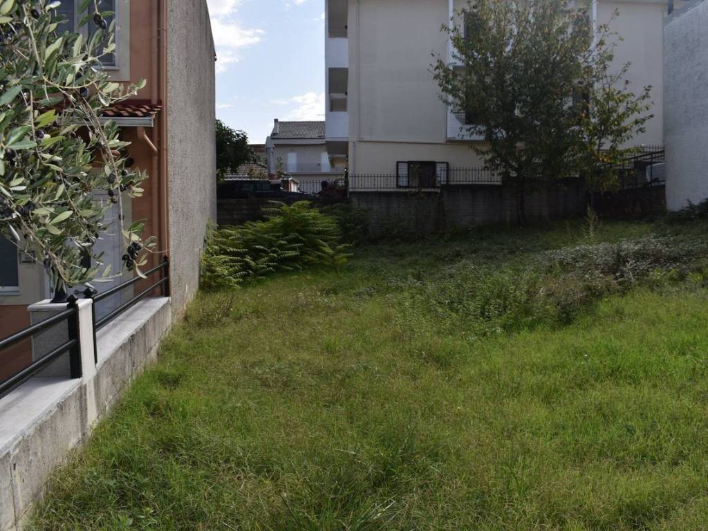 ΑΠΟΨΗ ΟΙΚΟΠΕΔΟΥ