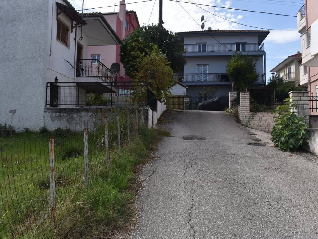 ΑΠΟΨΗ ΟΙΚΟΠΕΔΟΥ