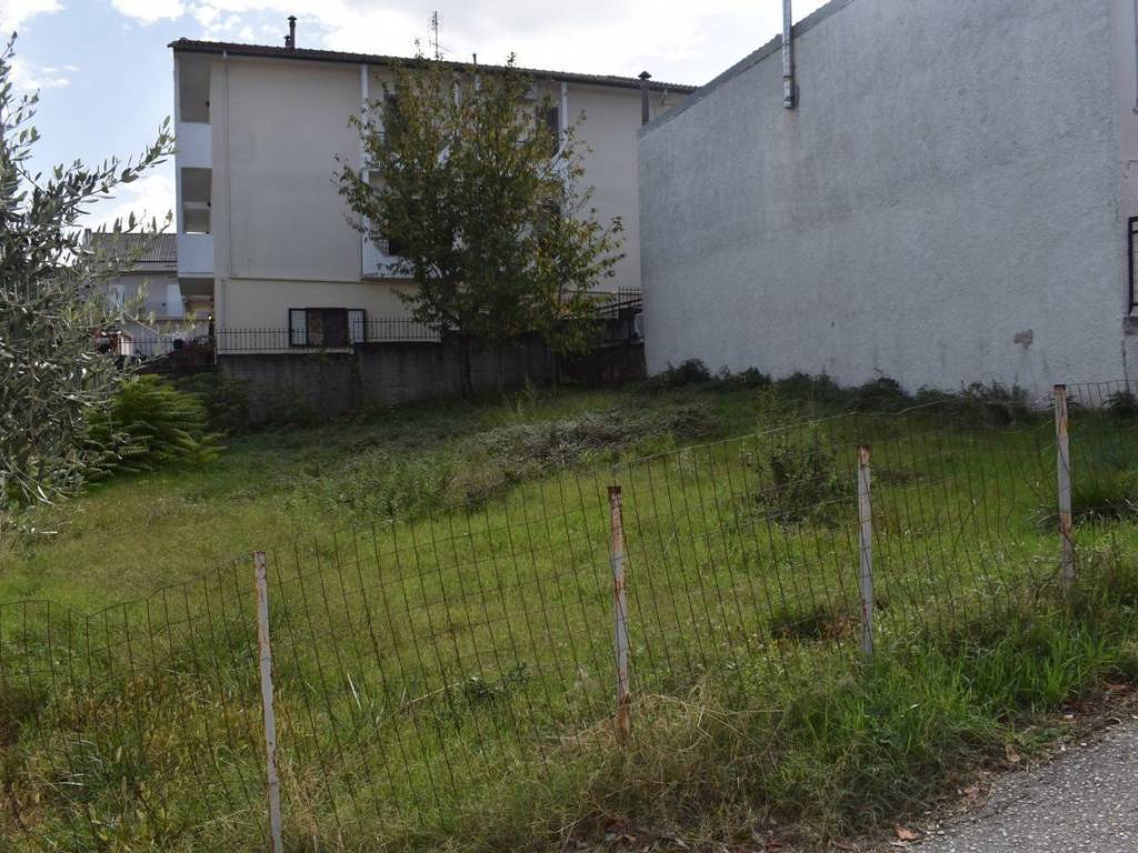 ΑΠΟΨΗ ΟΙΚΟΠΕΔΟΥ