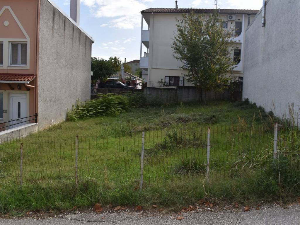 ΑΠΟΨΗ ΟΙΚΟΠΕΔΟΥ