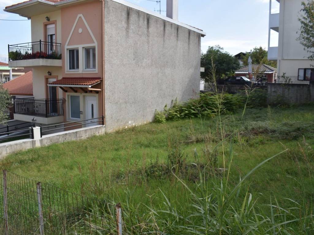 ΑΠΟΨΗ ΟΙΚΟΠΕΔΟΥ