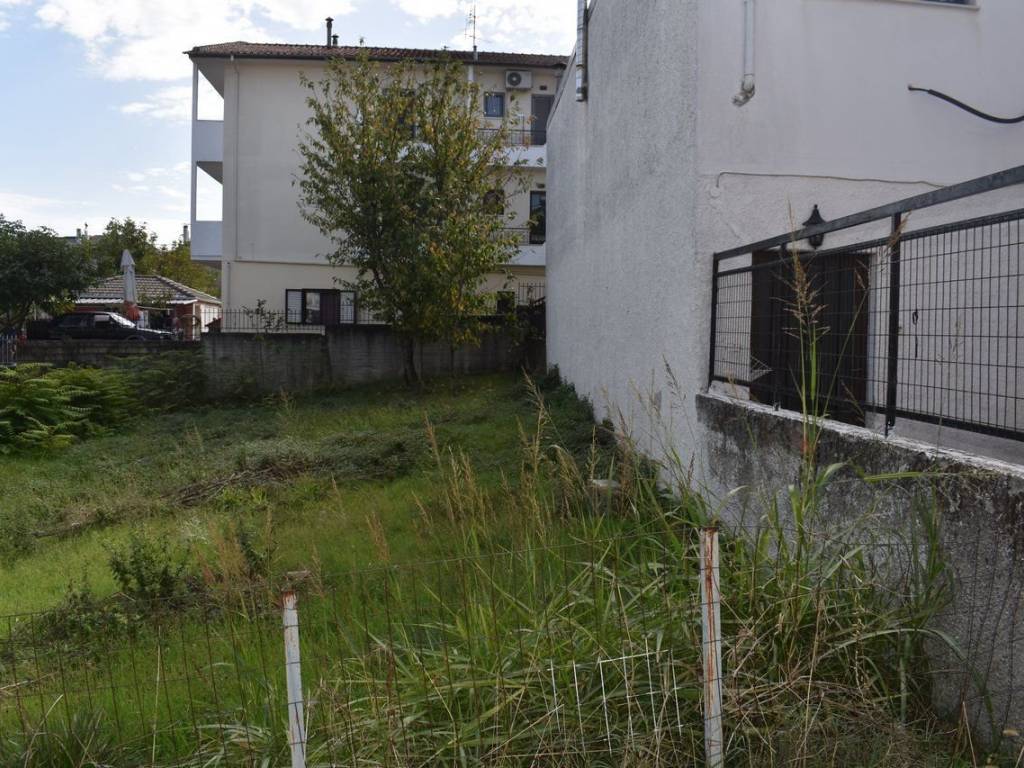 ΑΠΟΨΗ ΟΙΚΟΠΕΔΟΥ