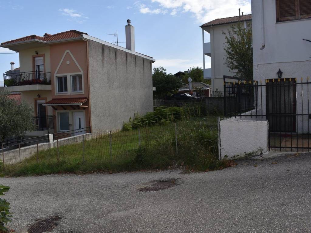 ΑΠΟΨΗ ΟΙΚΟΠΕΔΟΥ