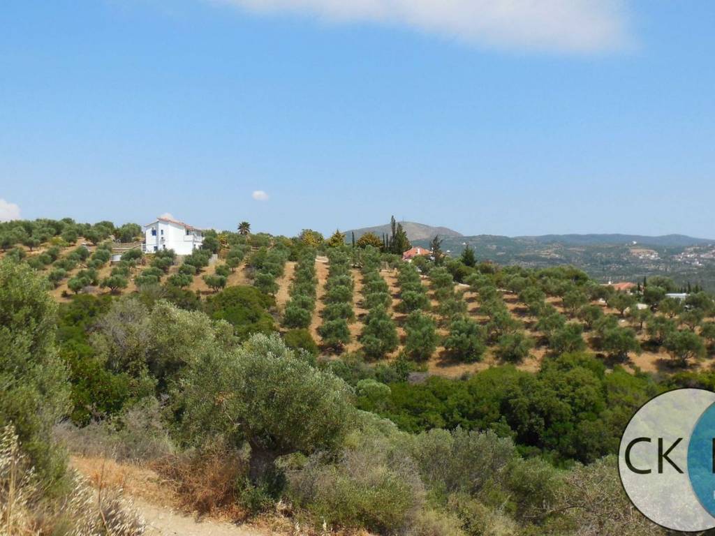 View from the plot.