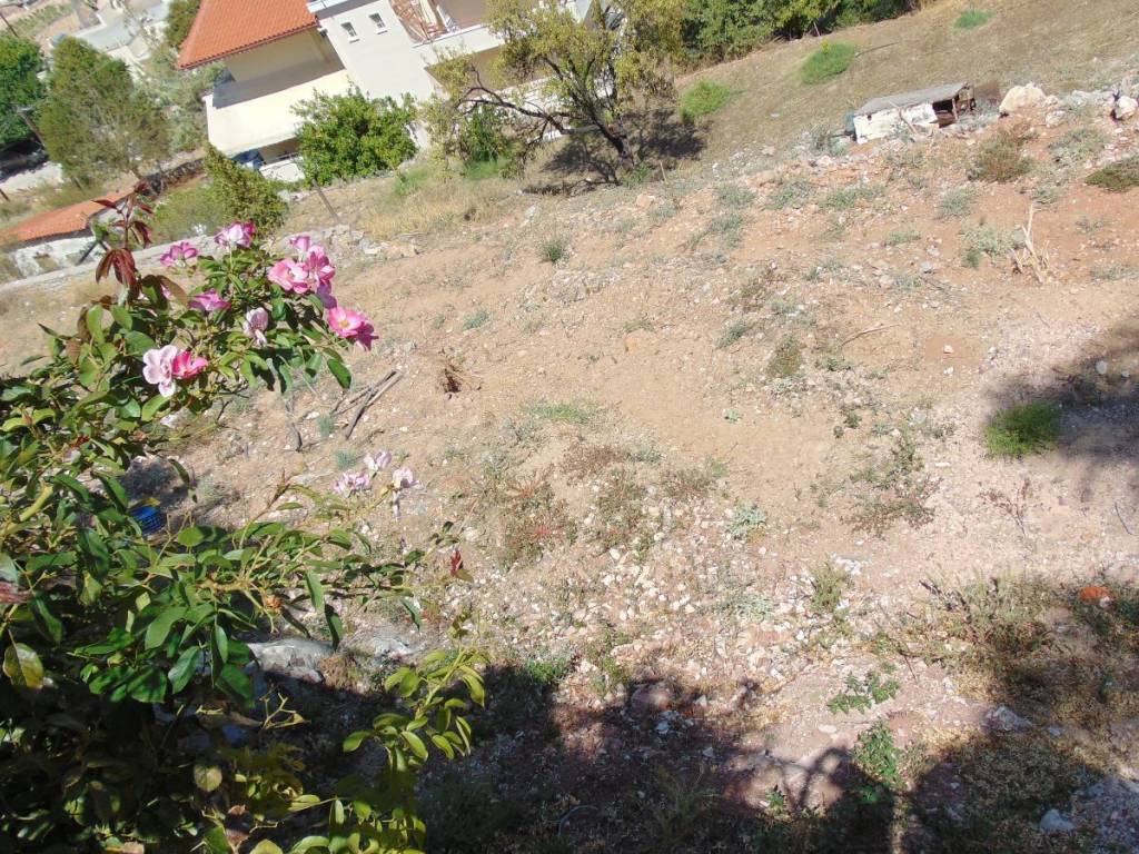 Plot for sale with a total area of 800 sq.m. in a privileged