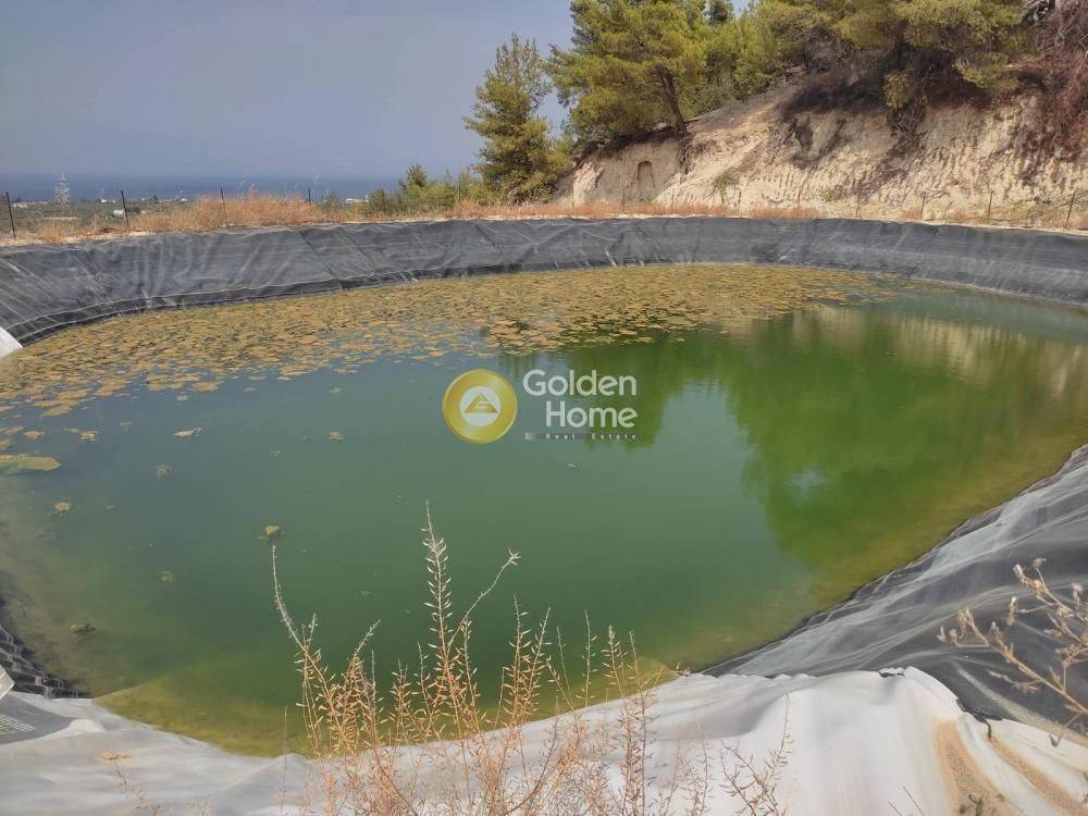 Βοηθητικός Χώρος