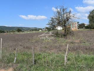 ΑΠΟΨΗ ΟΙΚΟΠΕΔΟΥ
