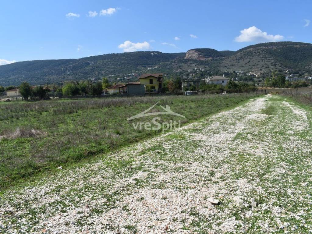 ΑΠΟΨΗ ΟΙΚΟΠΕΔΟΥ