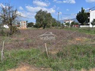 ΑΠΟΨΗ ΟΙΚΟΠΕΔΟΥ