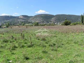 ΑΠΟΨΗ ΟΙΚΟΠΕΔΟΥ