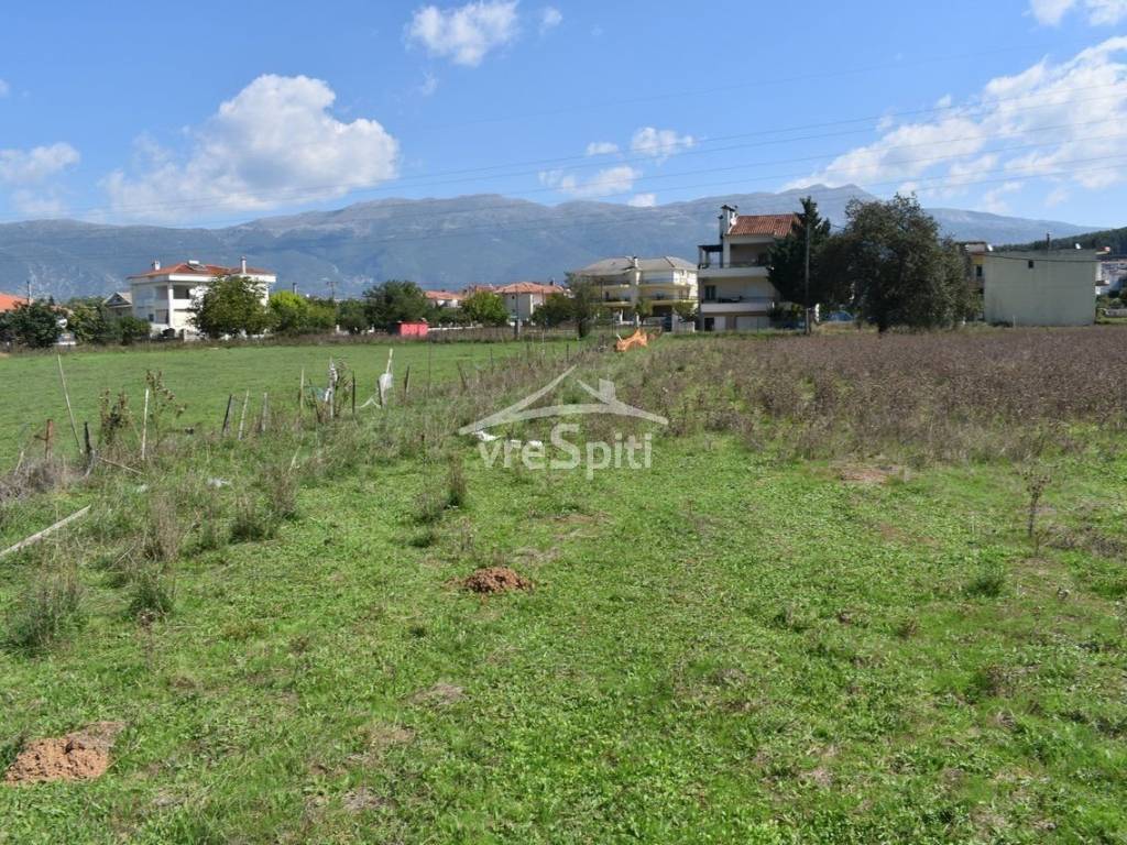 ΑΠΟΨΗ ΟΙΚΟΠΕΔΟΥ