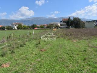 ΑΠΟΨΗ ΟΙΚΟΠΕΔΟΥ