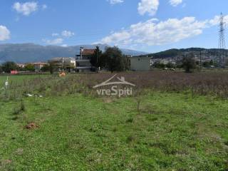 ΑΠΟΨΗ ΟΙΚΟΠΕΔΟΥ