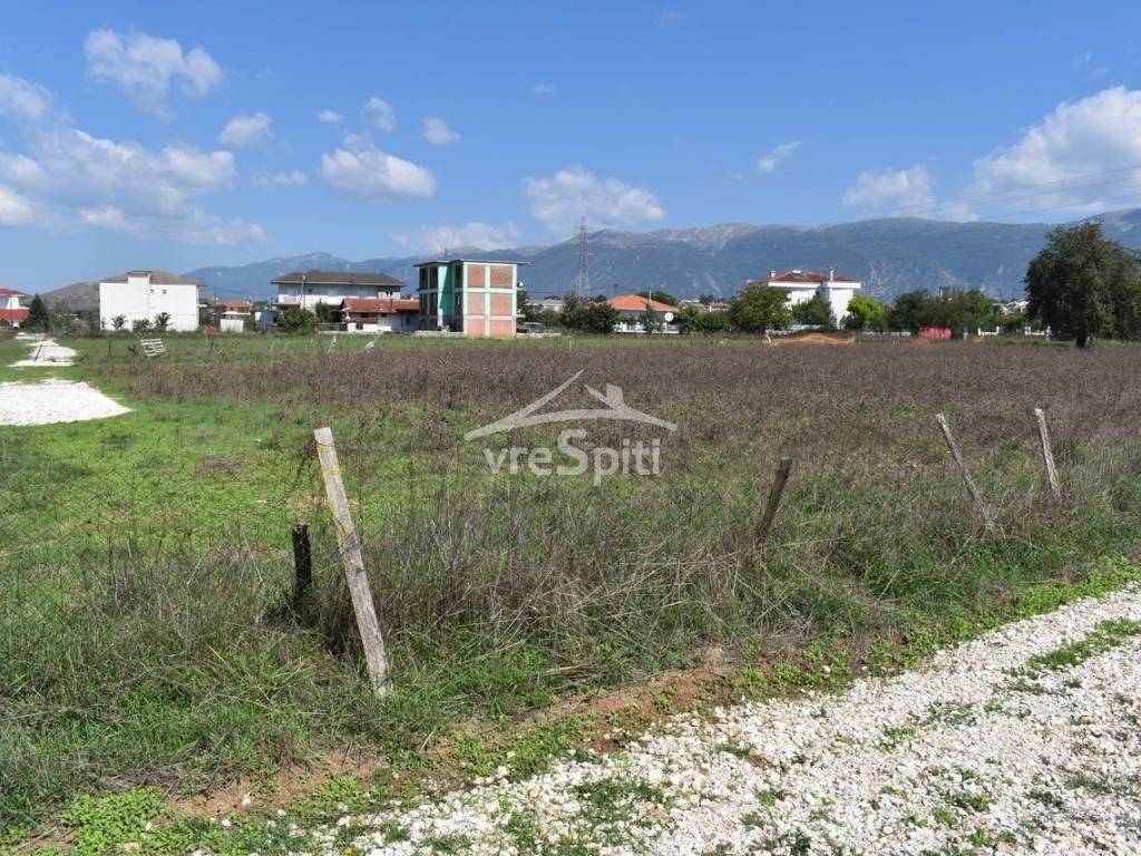 ΑΠΟΨΗ ΟΙΚΟΠΕΔΟΥ