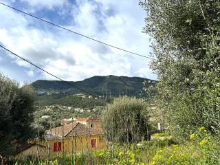 Landscape and views from the plot