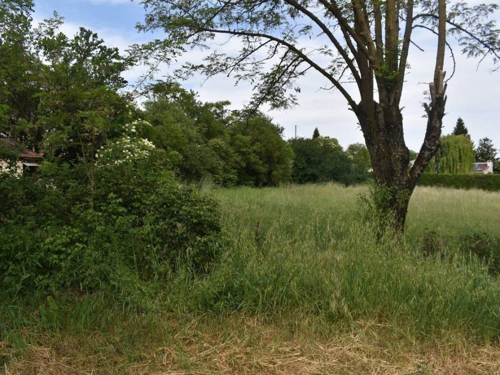 ΑΠΟΨΗ ΟΙΚΟΠΕΔΟΥ