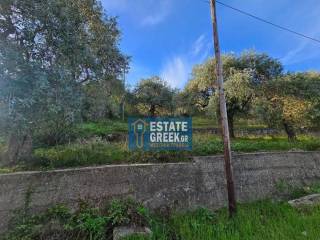 ★ Amphitheatrical view ★ Frontage 16m to an asphalt road ★