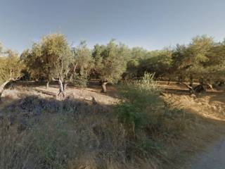 Άποψη περιοχής / Property area view