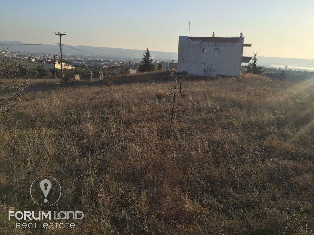 Forumland Real Estate, Αγροτεμάχιο 2.100τ.μ.