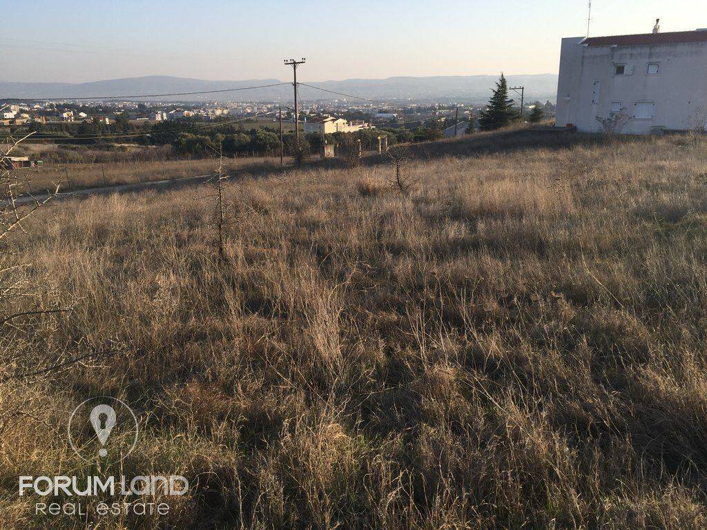 Forumland Real Estate, Αγροτεμάχιο 2.100τ.μ.