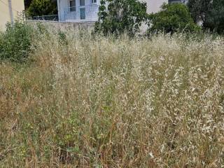 Plot 900 sq.m. for sale in Agia Kyriaki, Nafplio