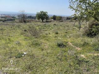 Forumland Real Estate, θέα ανοιχτωσιά