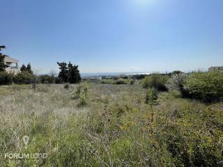 Forumland Real Estate, Αγροτεμάχιο