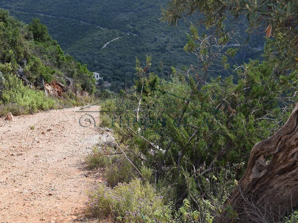 Η πρόσβαση εξασφαλίζεται από αγροτική οδό