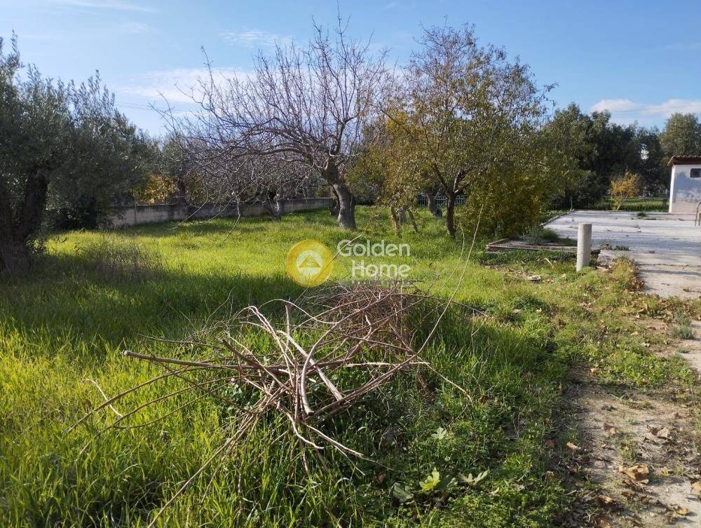 Εξωτερικός Χώρος