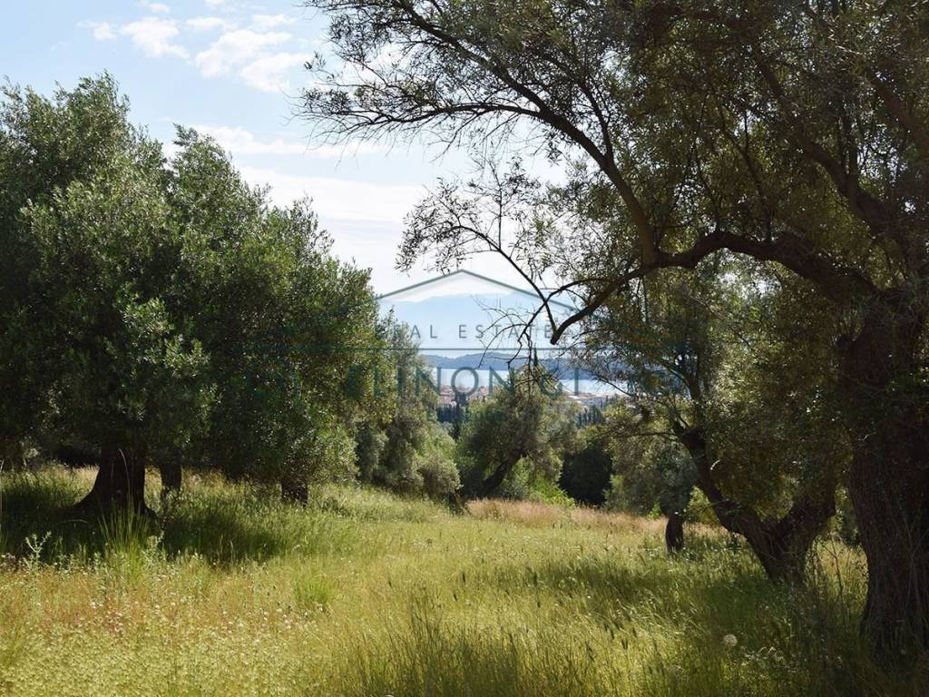 Η υπέροχη θέα από το αγροτεμάχιο