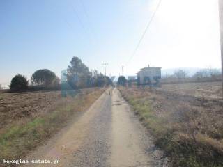 ΕΞΩΤΕΡΙΚΗ ΛΗΨΗ