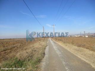 ΕΞΩΤΕΡΙΚΗ ΛΗΨΗ