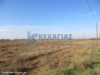 ΕΞΩΤΕΡΙΚΗ ΛΗΨΗ