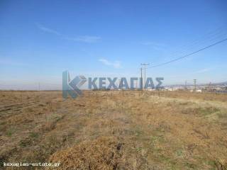 ΕΞΩΤΕΡΙΚΗ ΛΗΨΗ