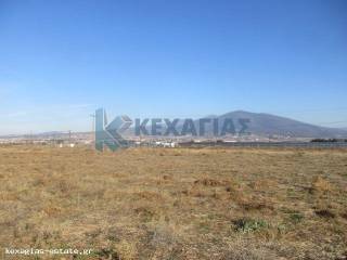 ΕΞΩΤΕΡΙΚΗ ΛΗΨΗ