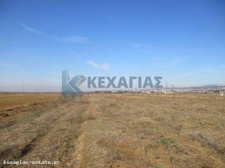 ΕΞΩΤΕΡΙΚΗ ΛΗΨΗ