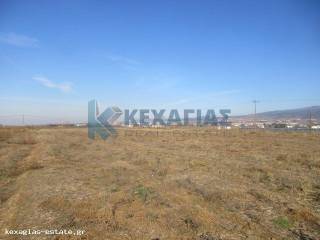 ΕΞΩΤΕΡΙΚΗ ΛΗΨΗ