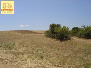 Αγία Παρασκευή, Αγροτεμάχιο, 4.115 τ.μ.