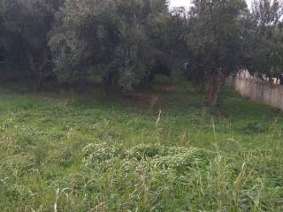 Εξωτερική άποψη