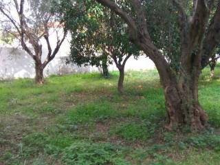 Εξωτερική άποψη