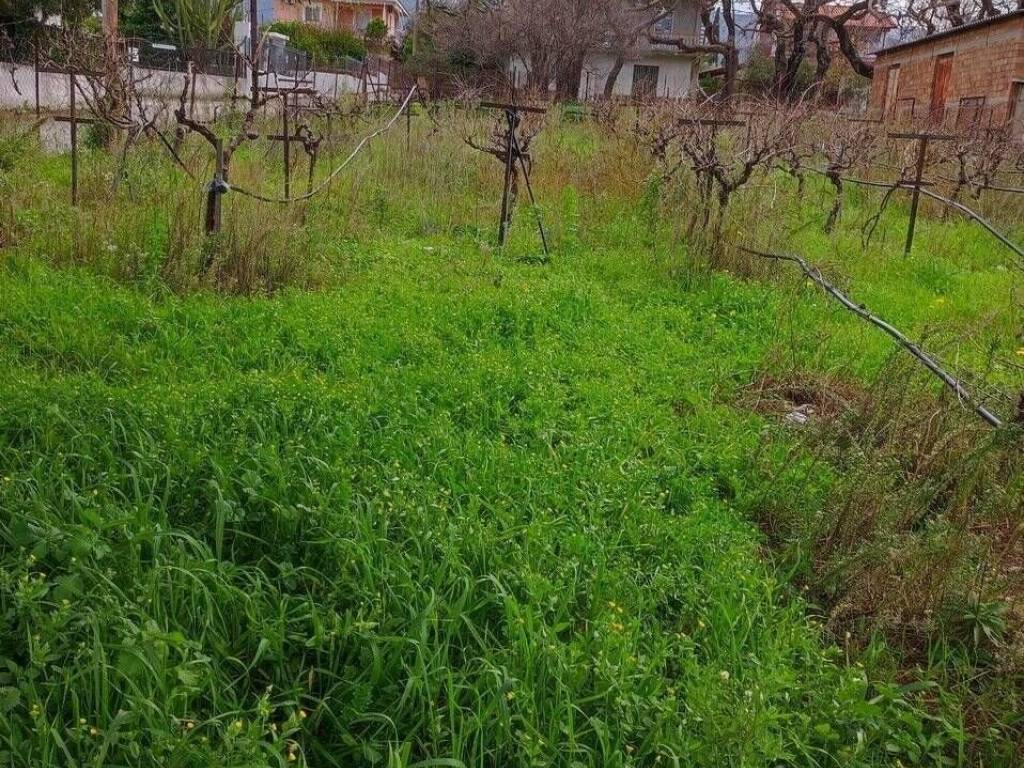 Εξωτερική άποψη